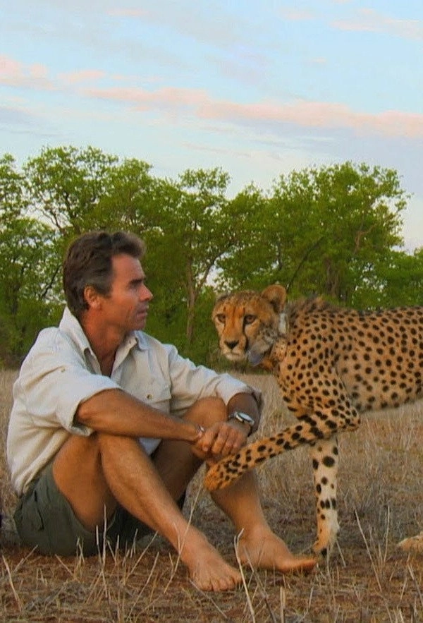 Man, Cheetah