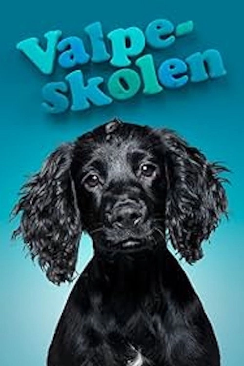 The Puppy School