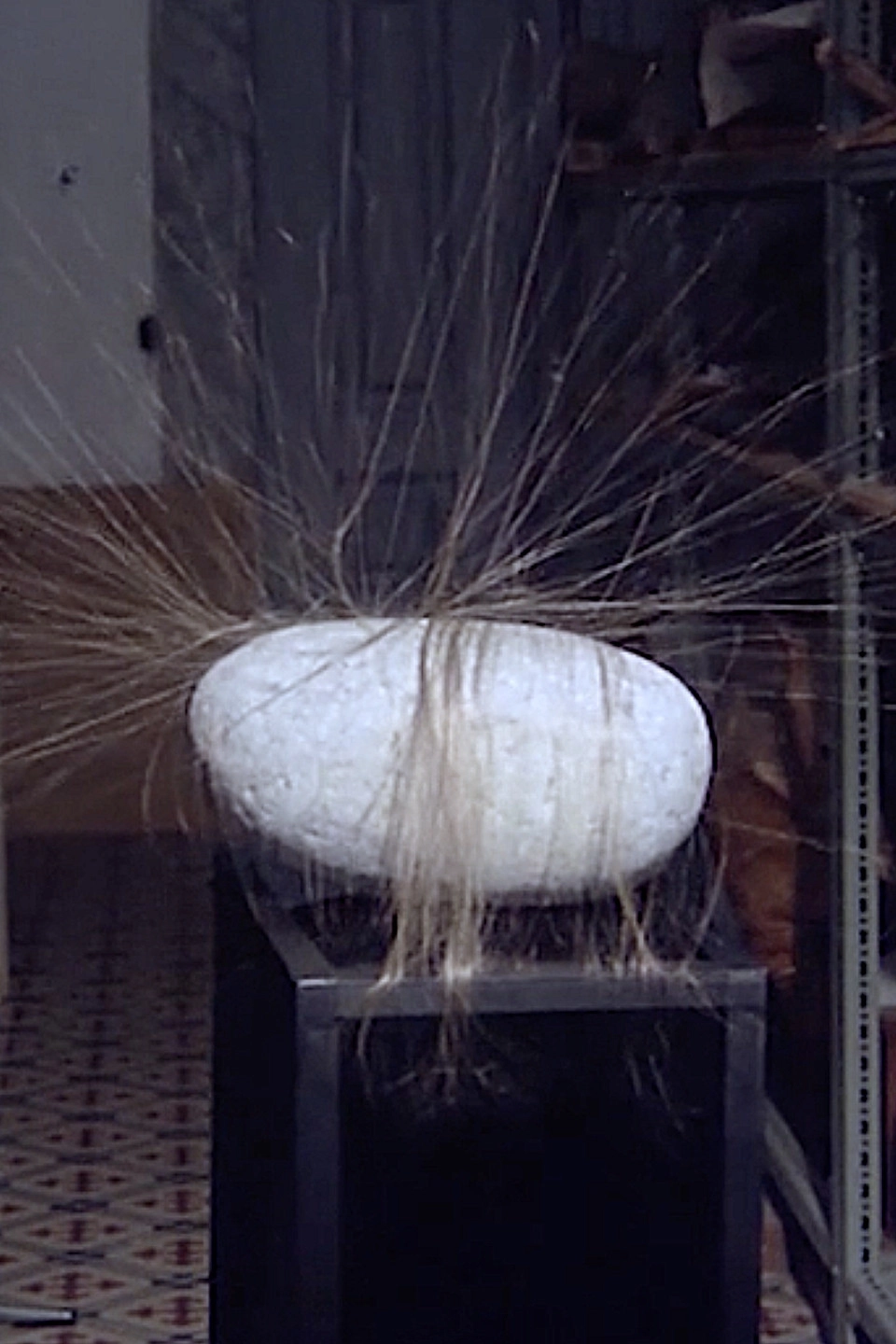 Hairy Stone
