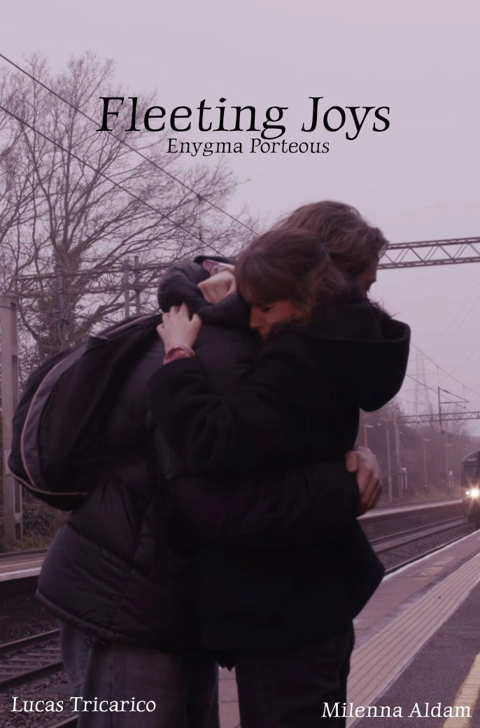 Fleeting Joys