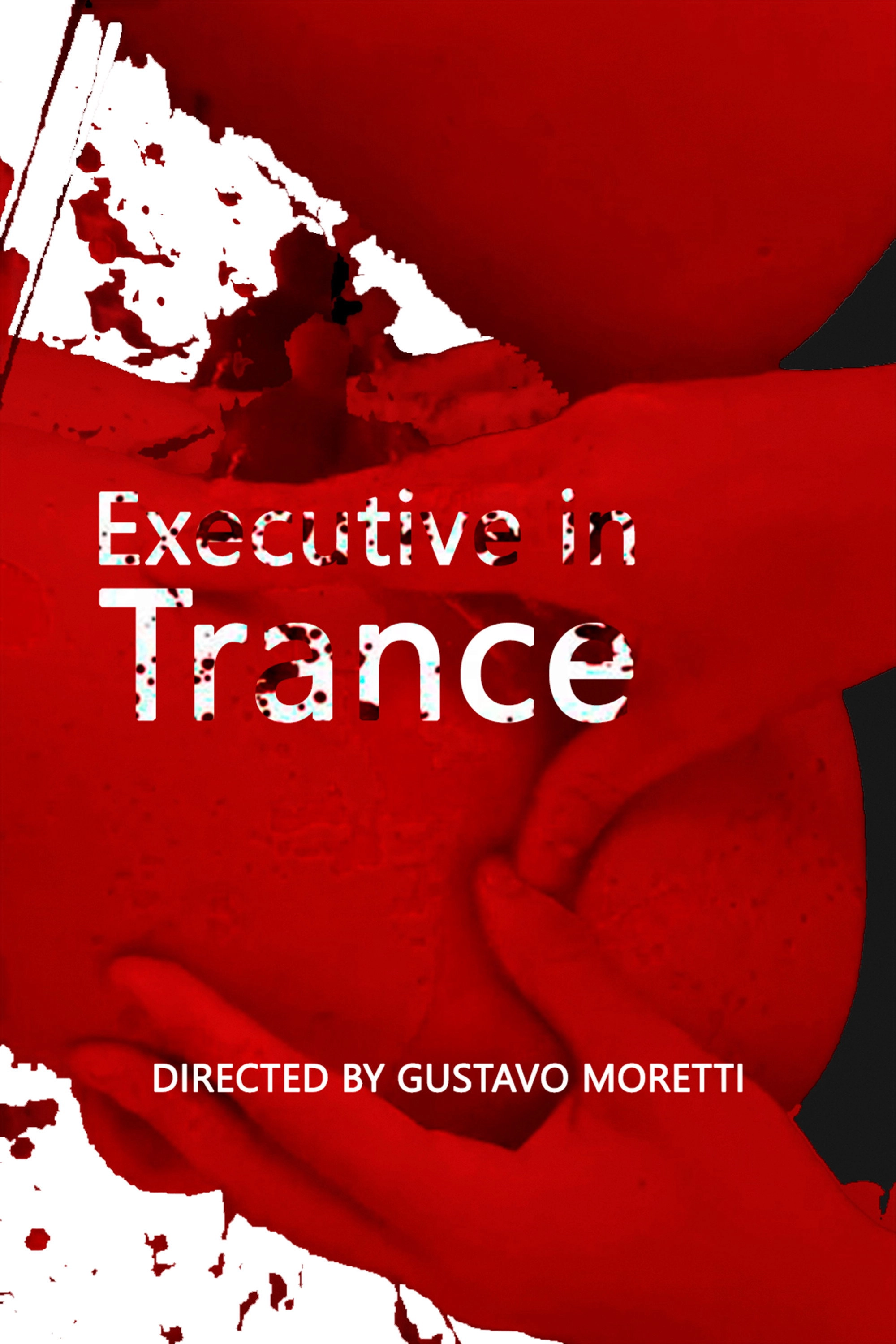 Executivo em Transe