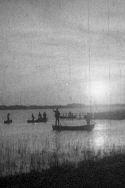 The Pontine Marshes