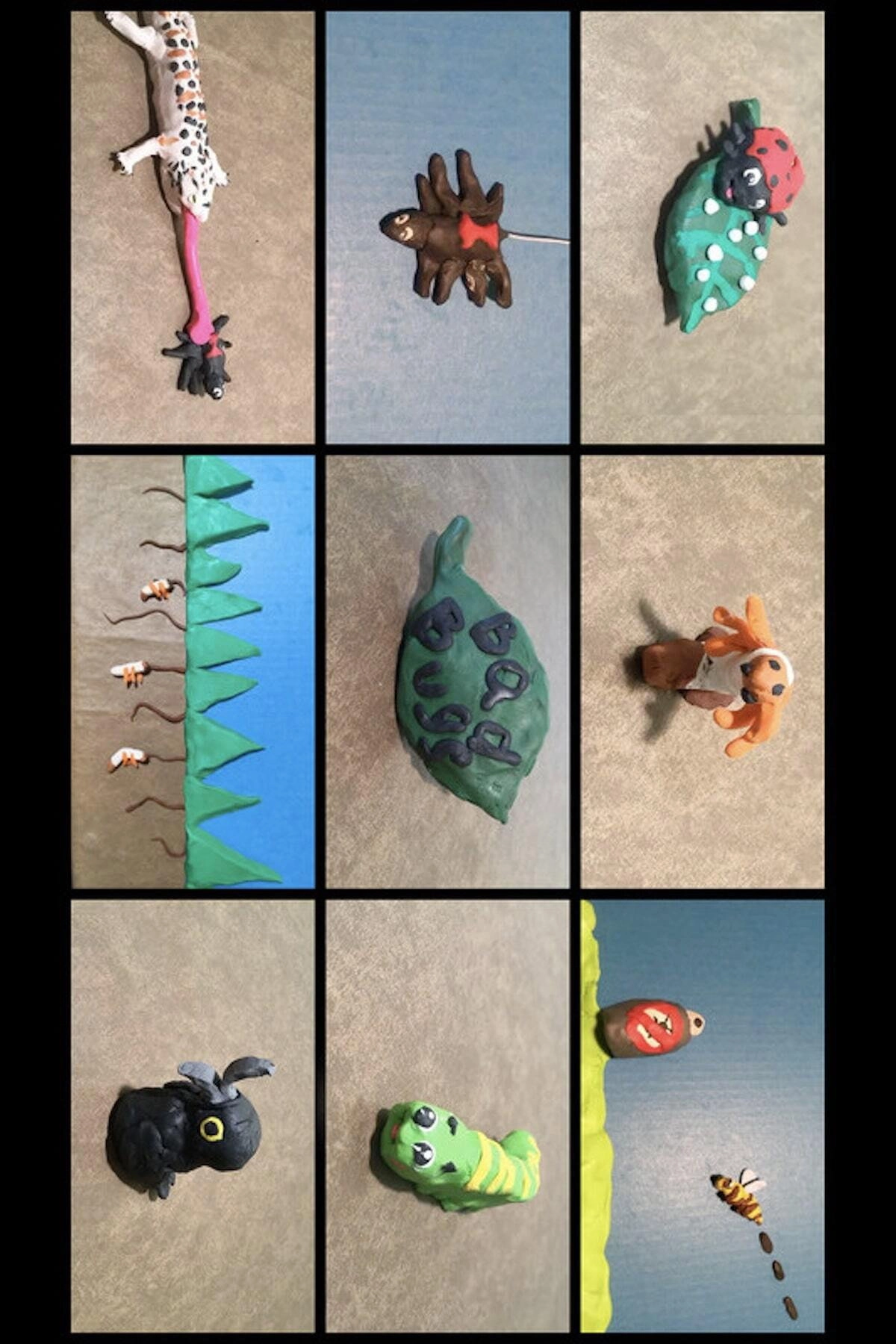 Bad Bugs