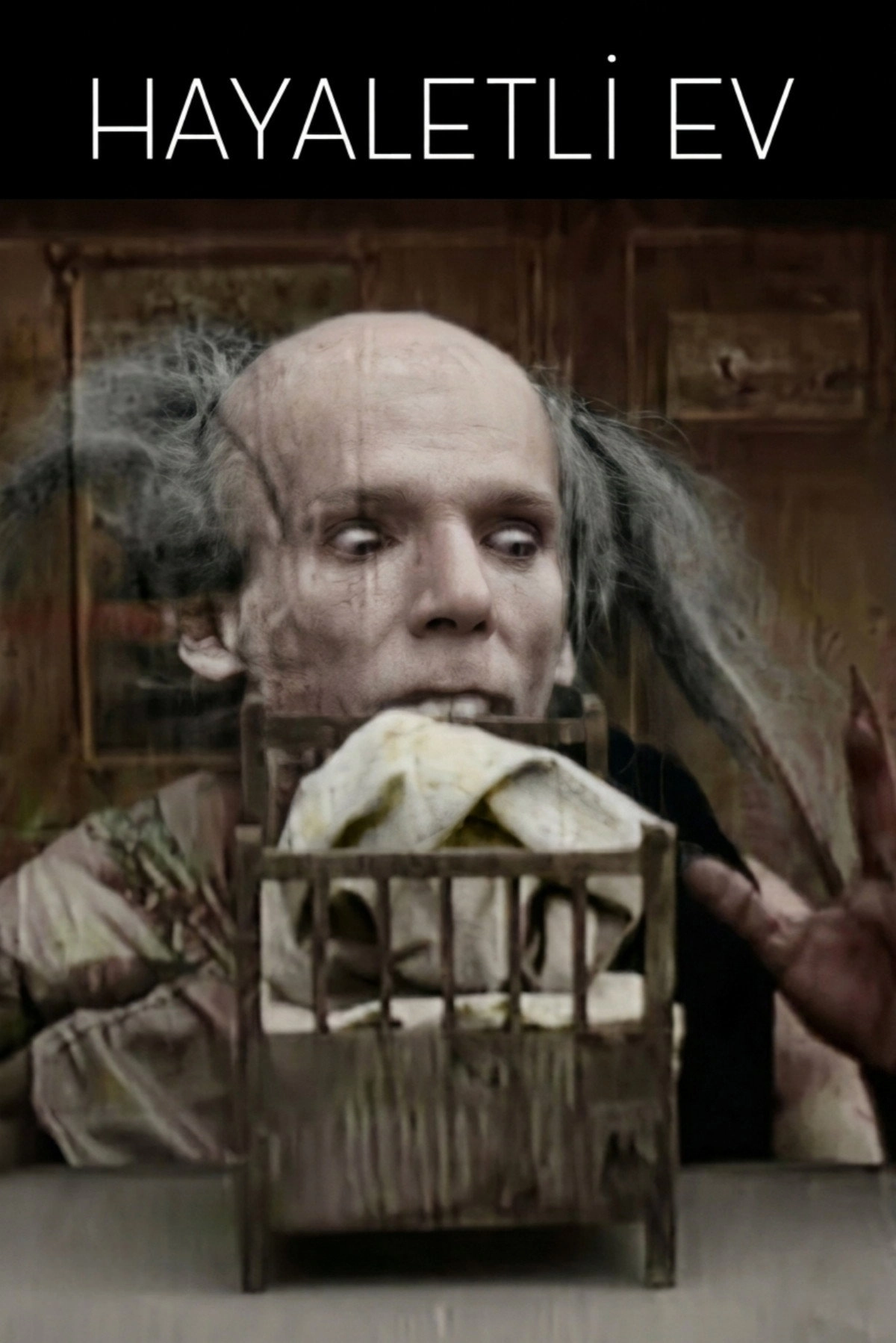 The Bewitched House
