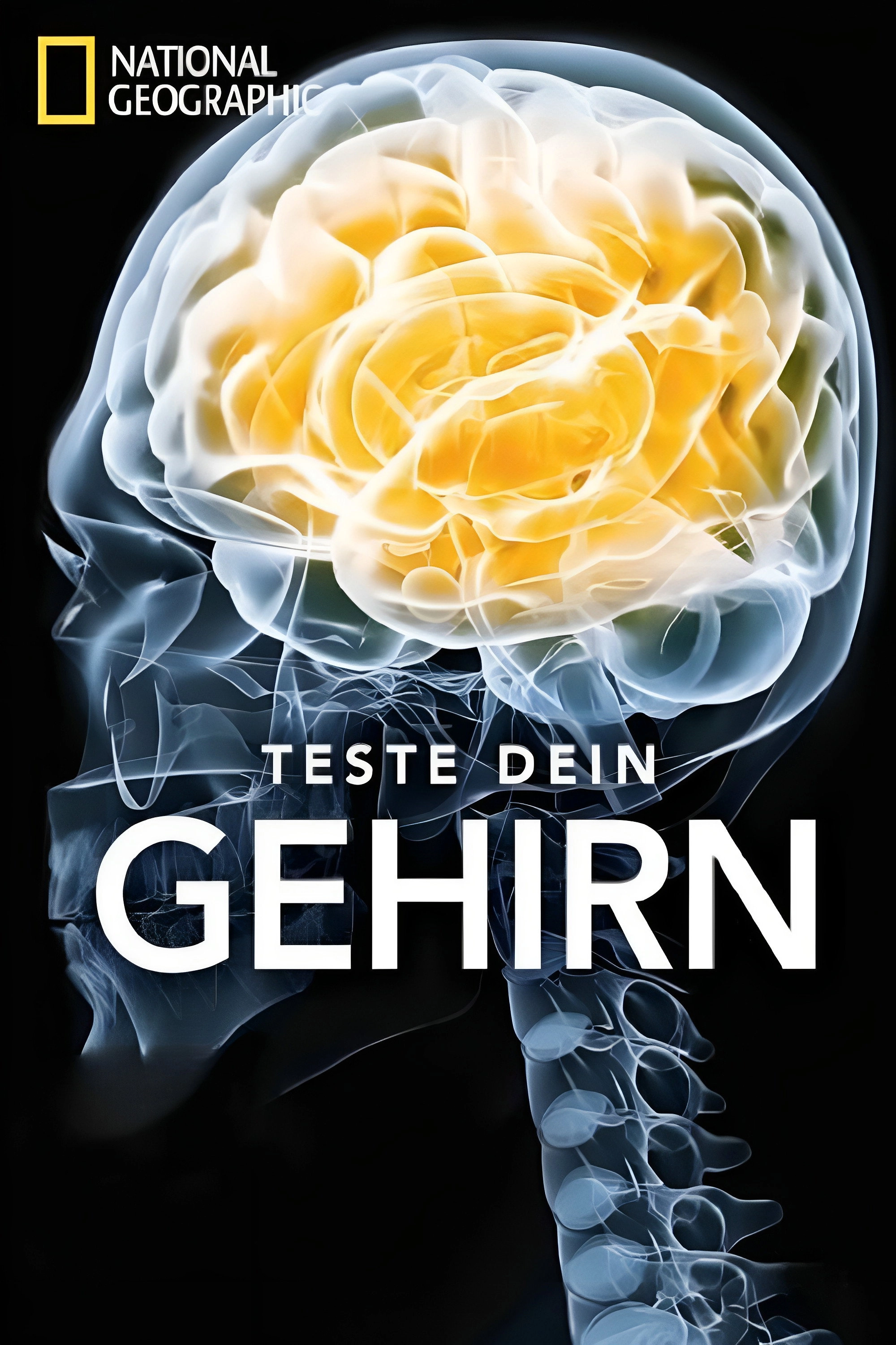 Test Your Brain