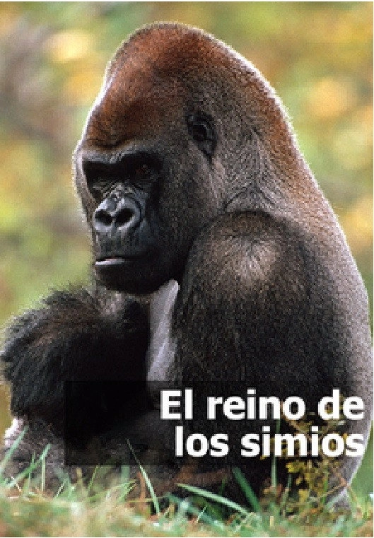 El reino de los Simios
