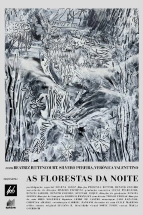 As Florestas da Noite