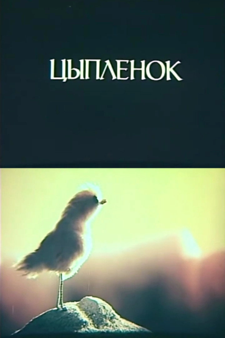 Little Chicken