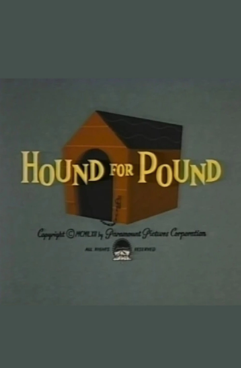 Hound for Pound