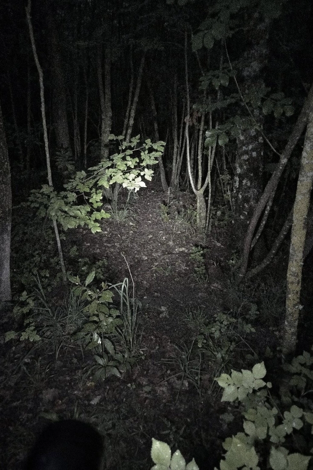 Untitled Found Footage Project