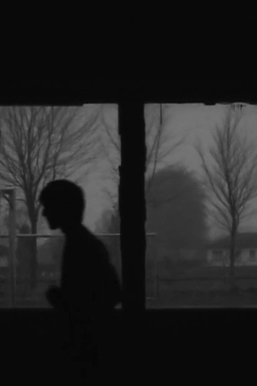 Imposed Landscape