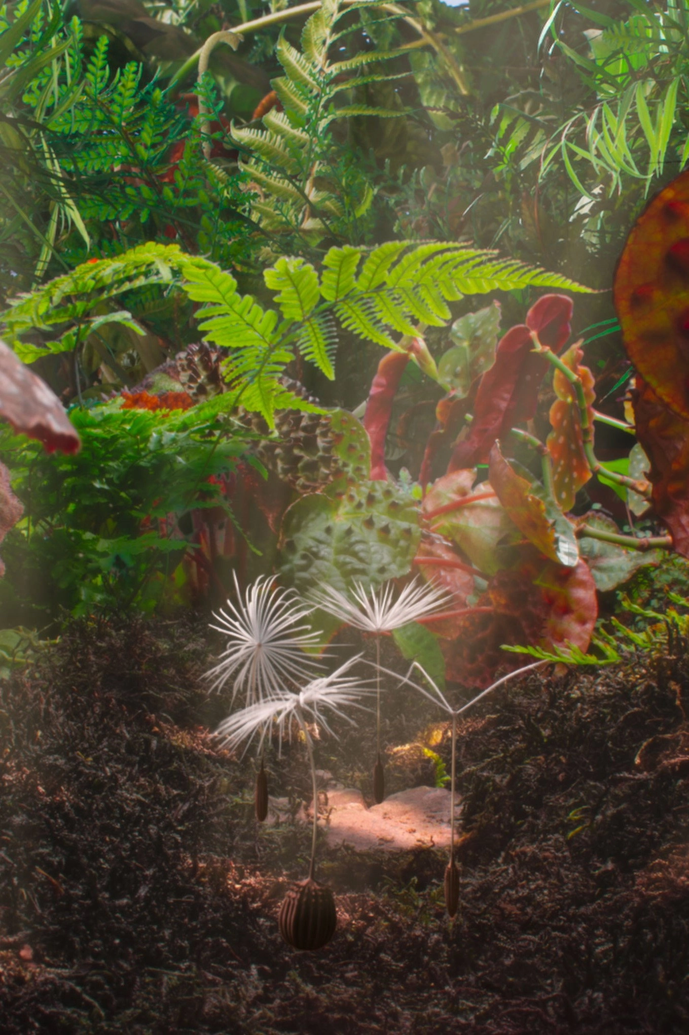 Dandelion's Odyssey