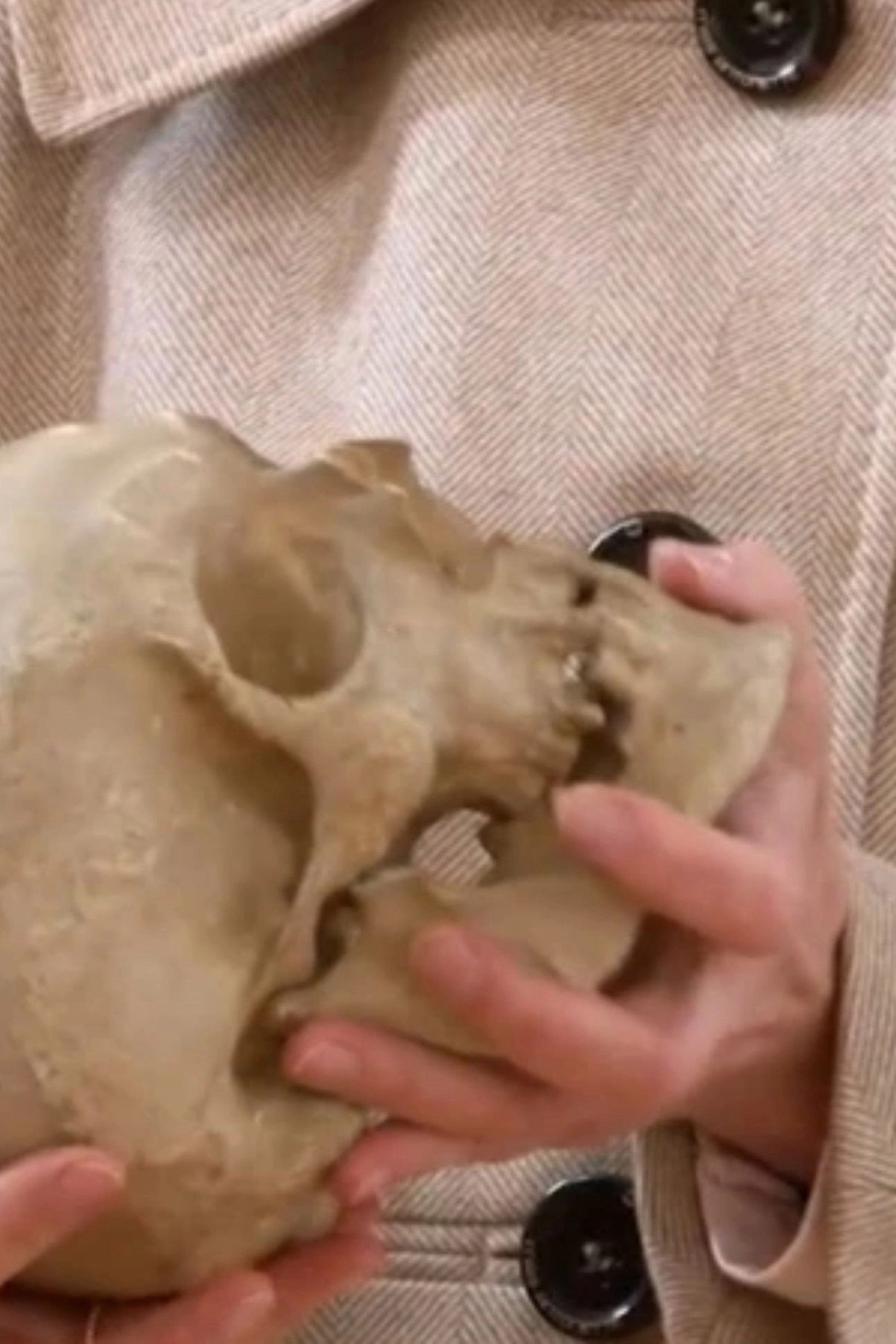 Leibnitz' Skull