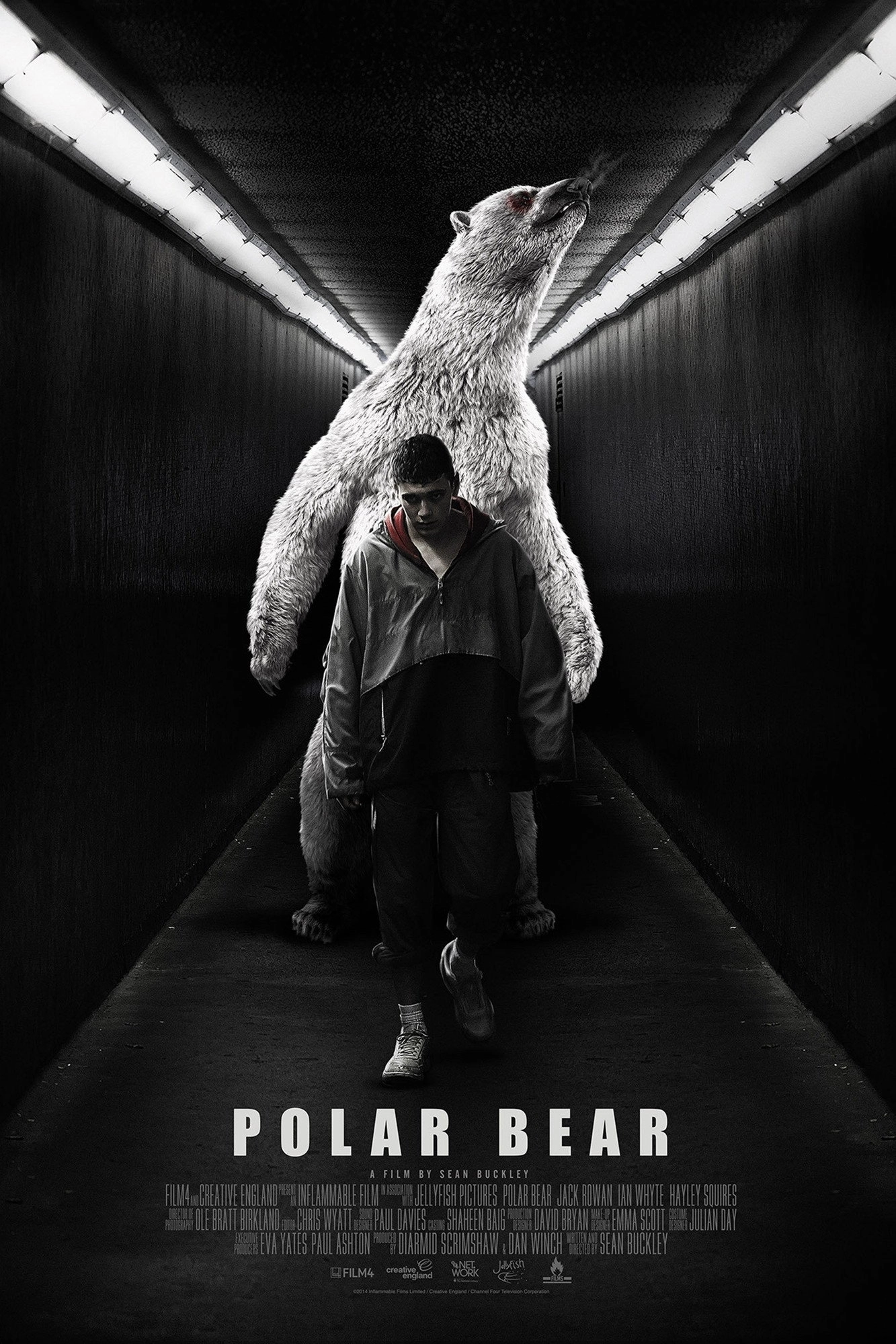 Polar Bear