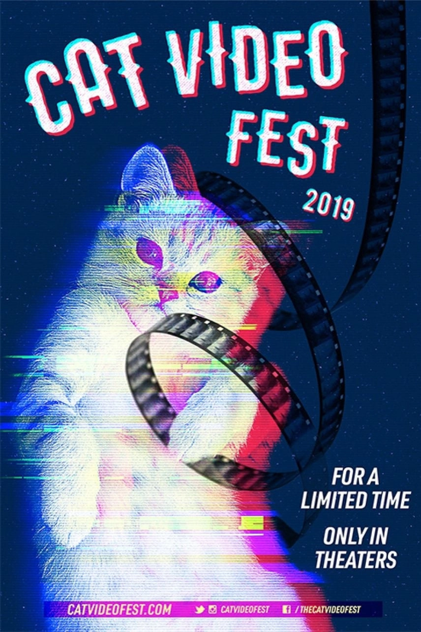 CatVideoFest 2019
