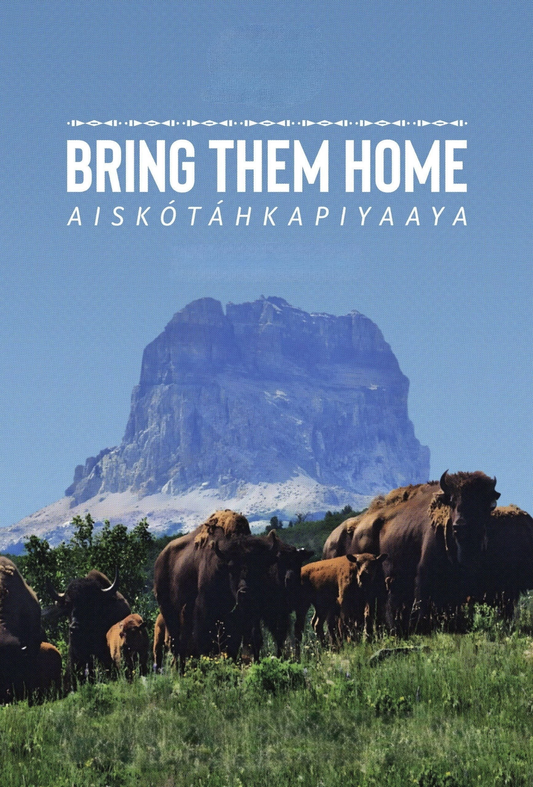 Bring Them Home