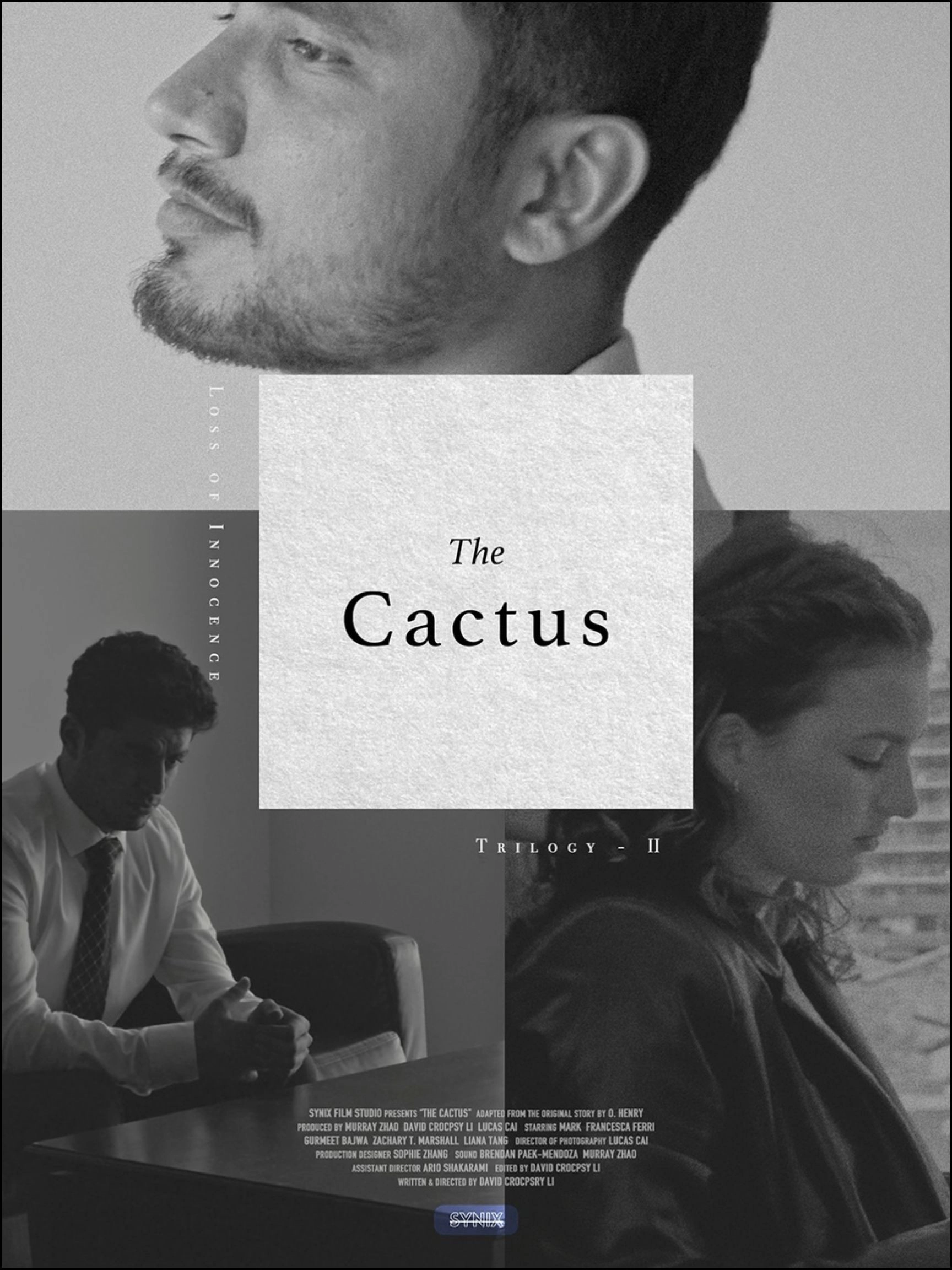 The Cactus