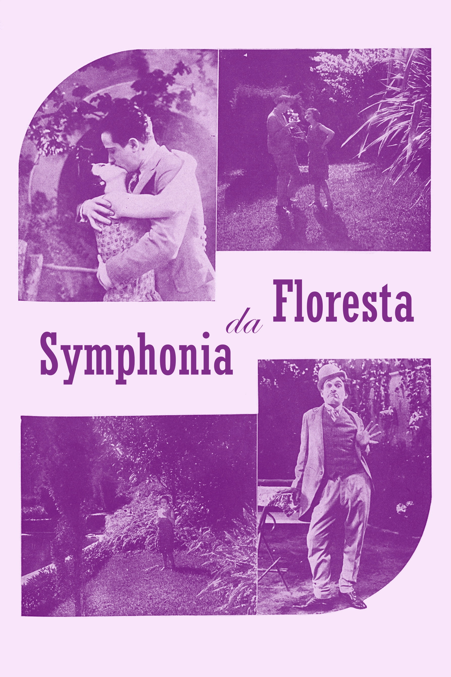 Sinfonia da Floresta