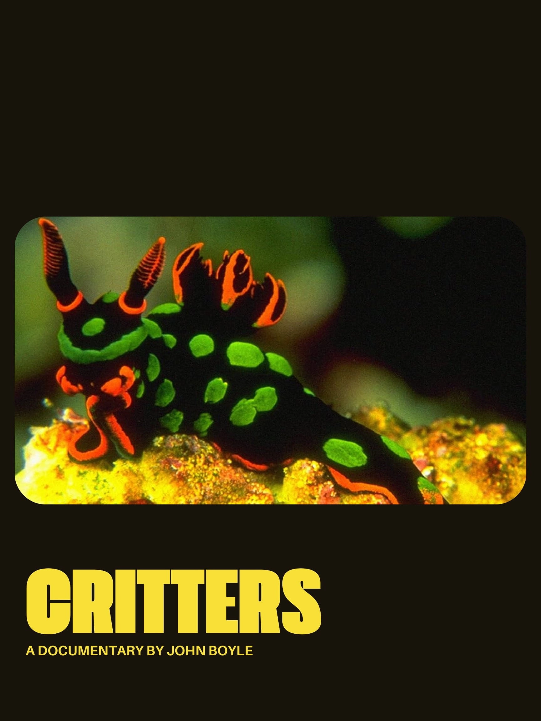 Critters