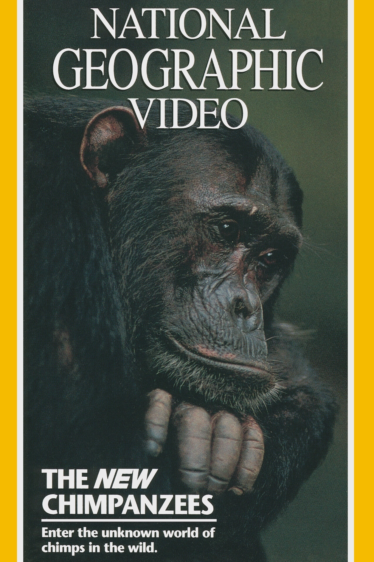 The New Chimpanzees