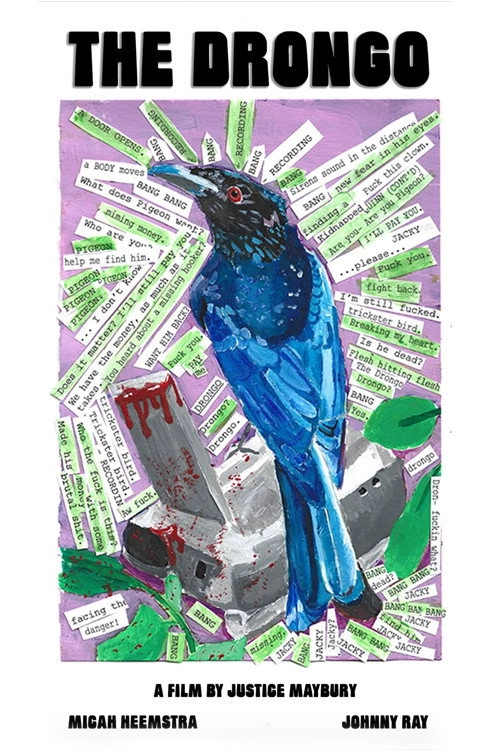 The Drongo