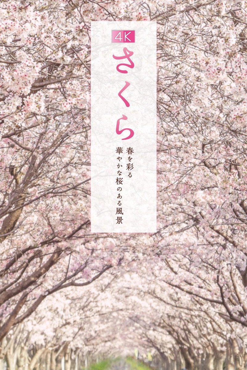 Sakura