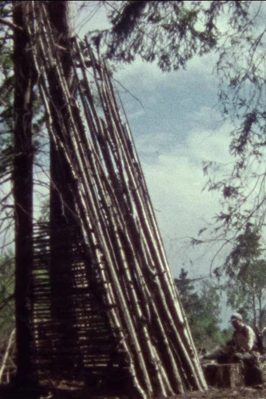 Lumber