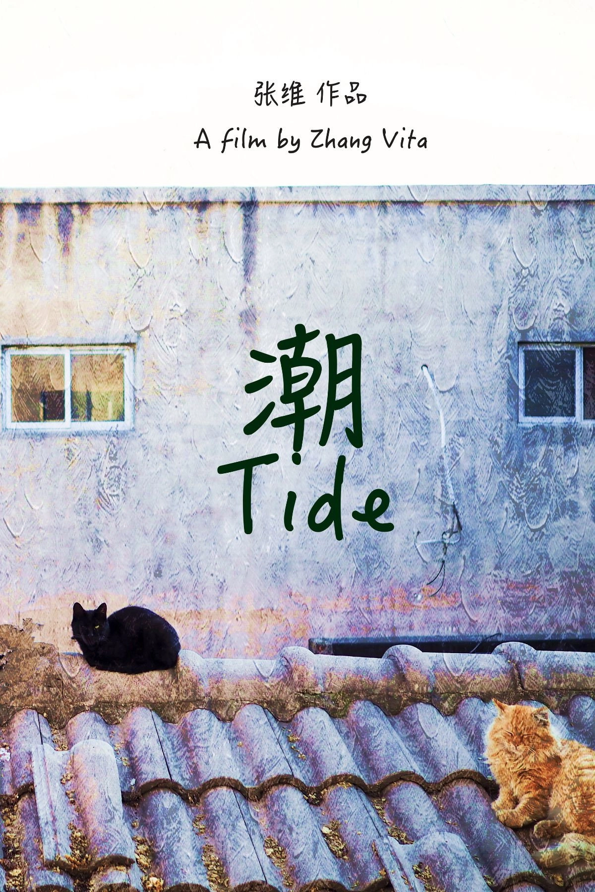 Tide