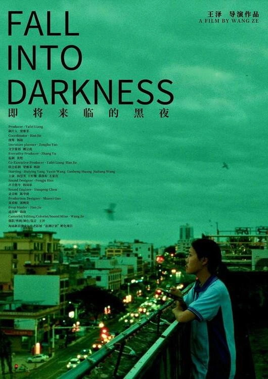 Fall Into Darkness