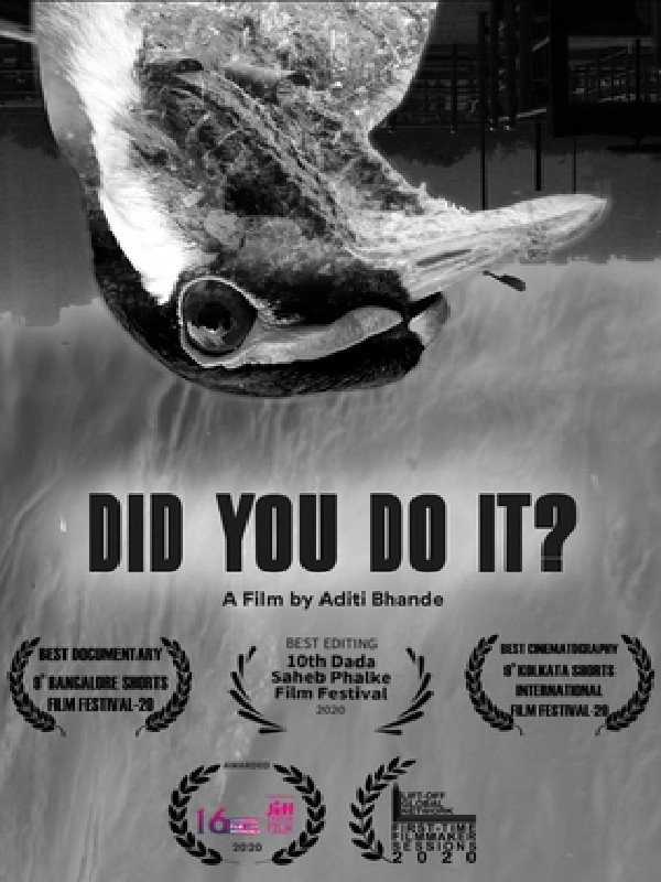 Did You Do It?