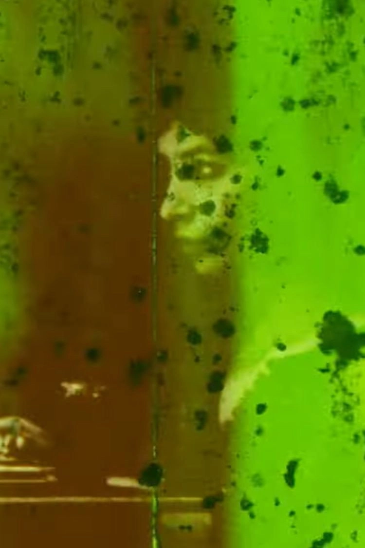 PAINT FILM 3