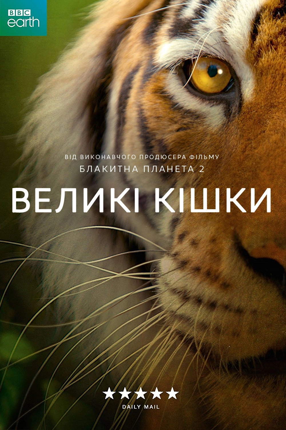 Big Cats