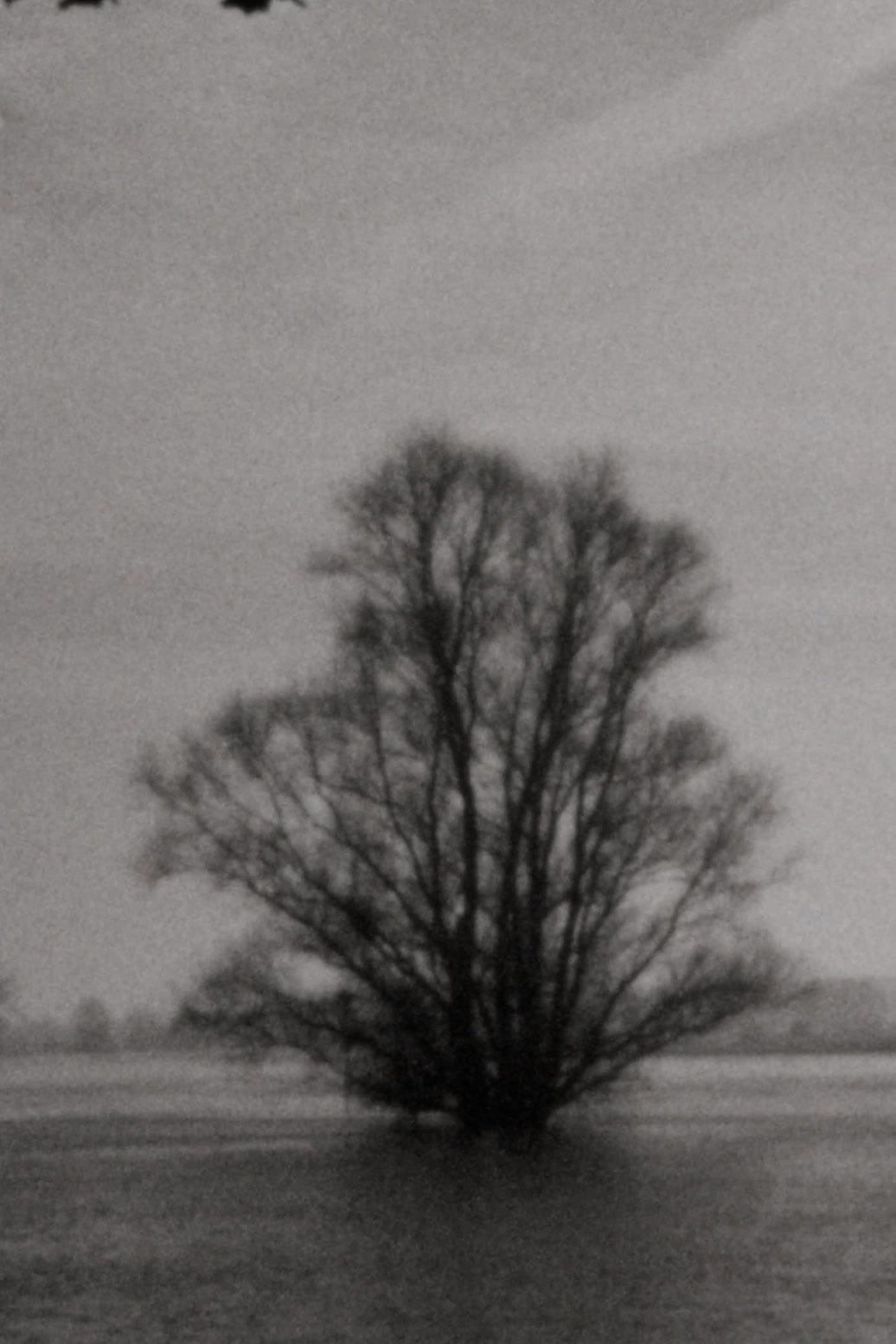 Landscape as Landscape 2