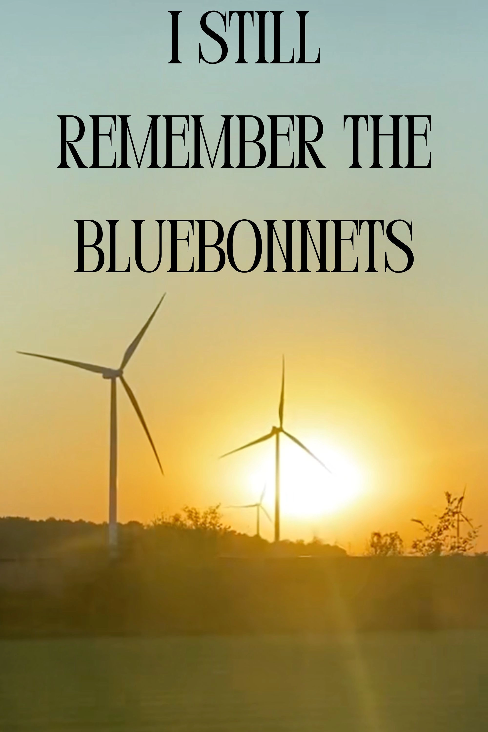 I Still Remember The Bluebonnets