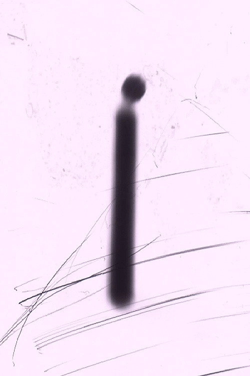 CANDLEFILM