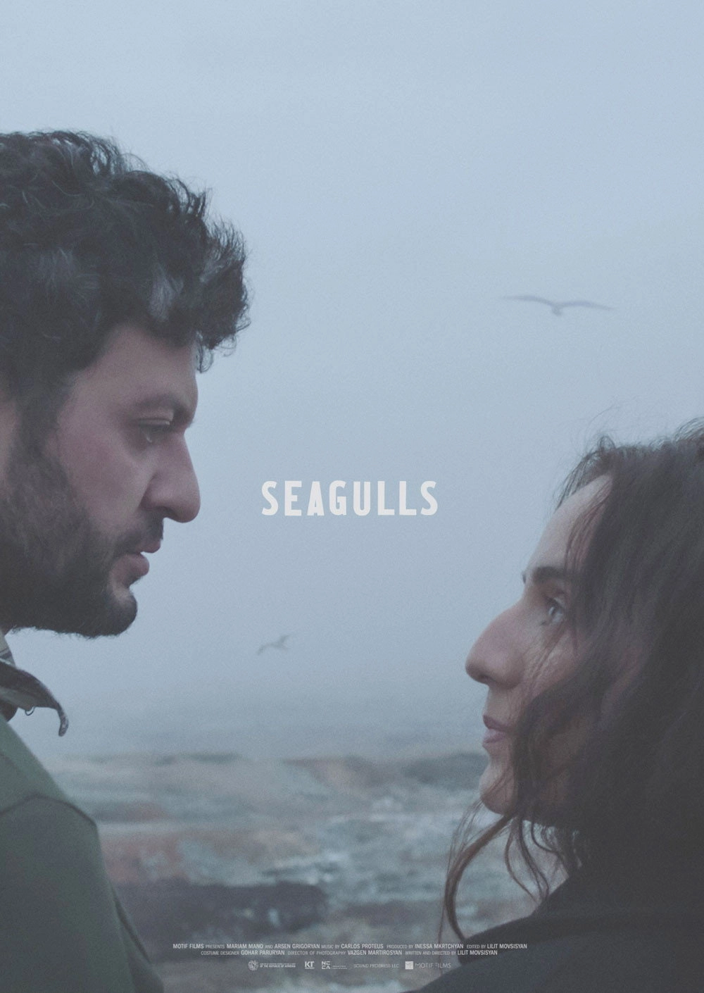 Seagulls