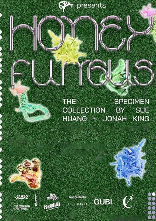 Honey Fungus