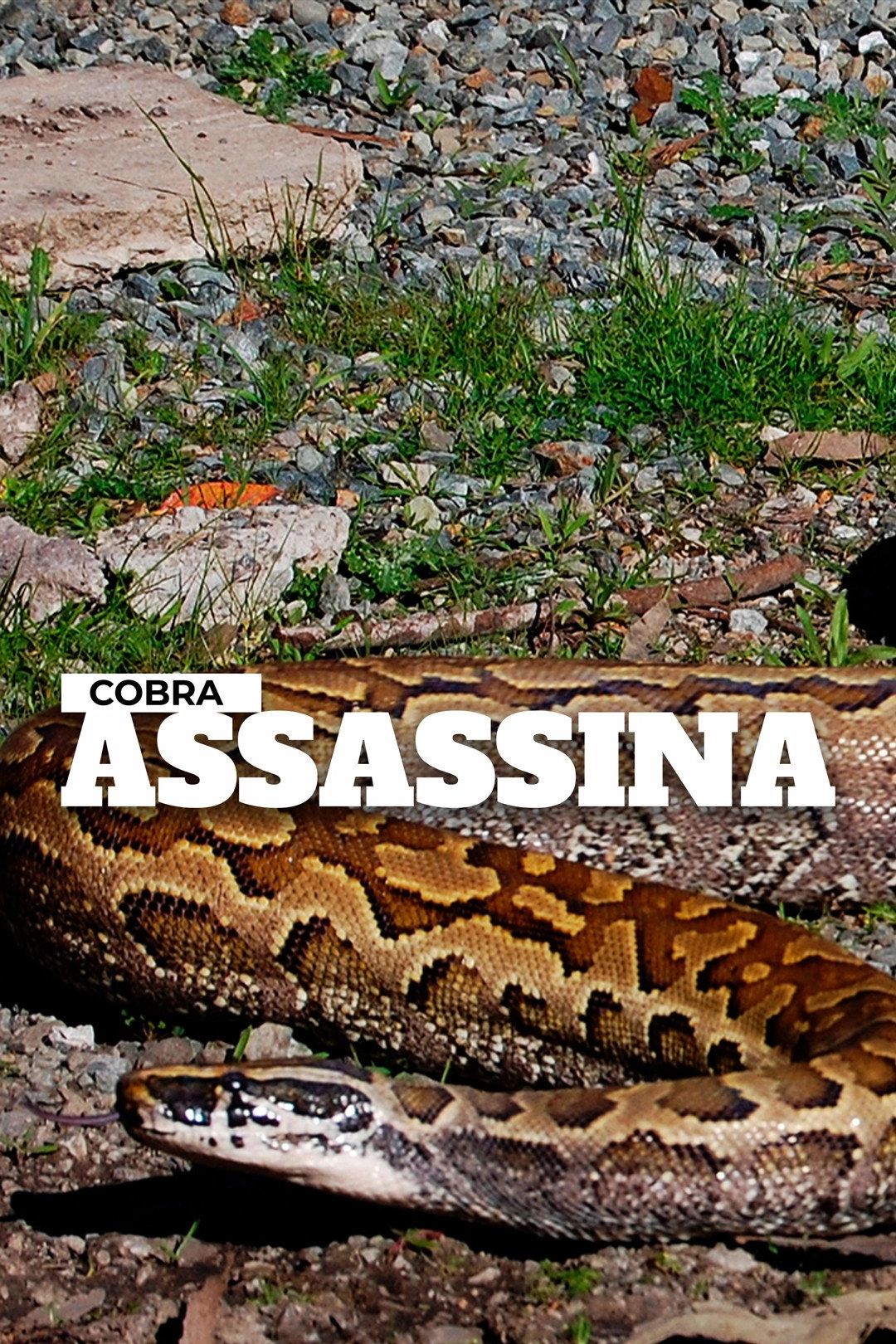 Devoured: Man-Eating Super Snake Returns