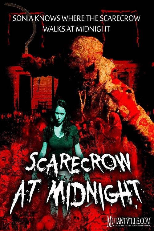 Scarecrow at Midnight
