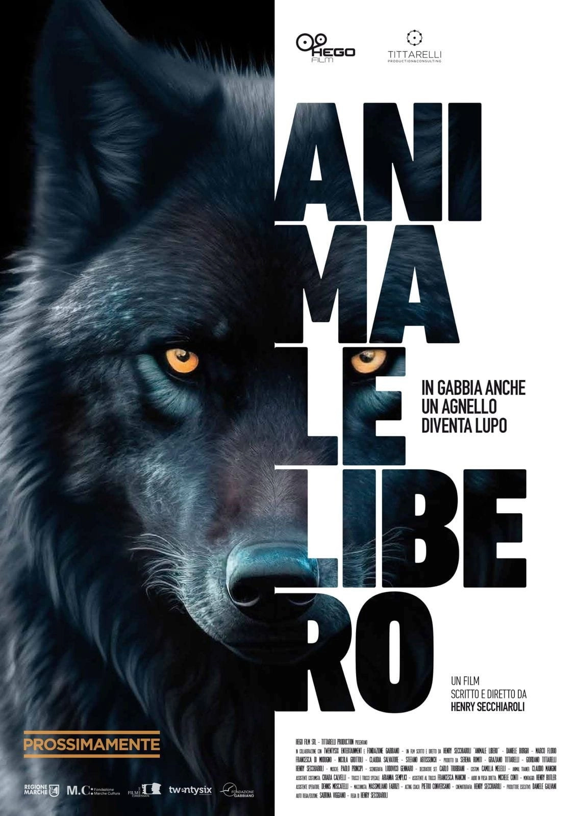 Animale libero