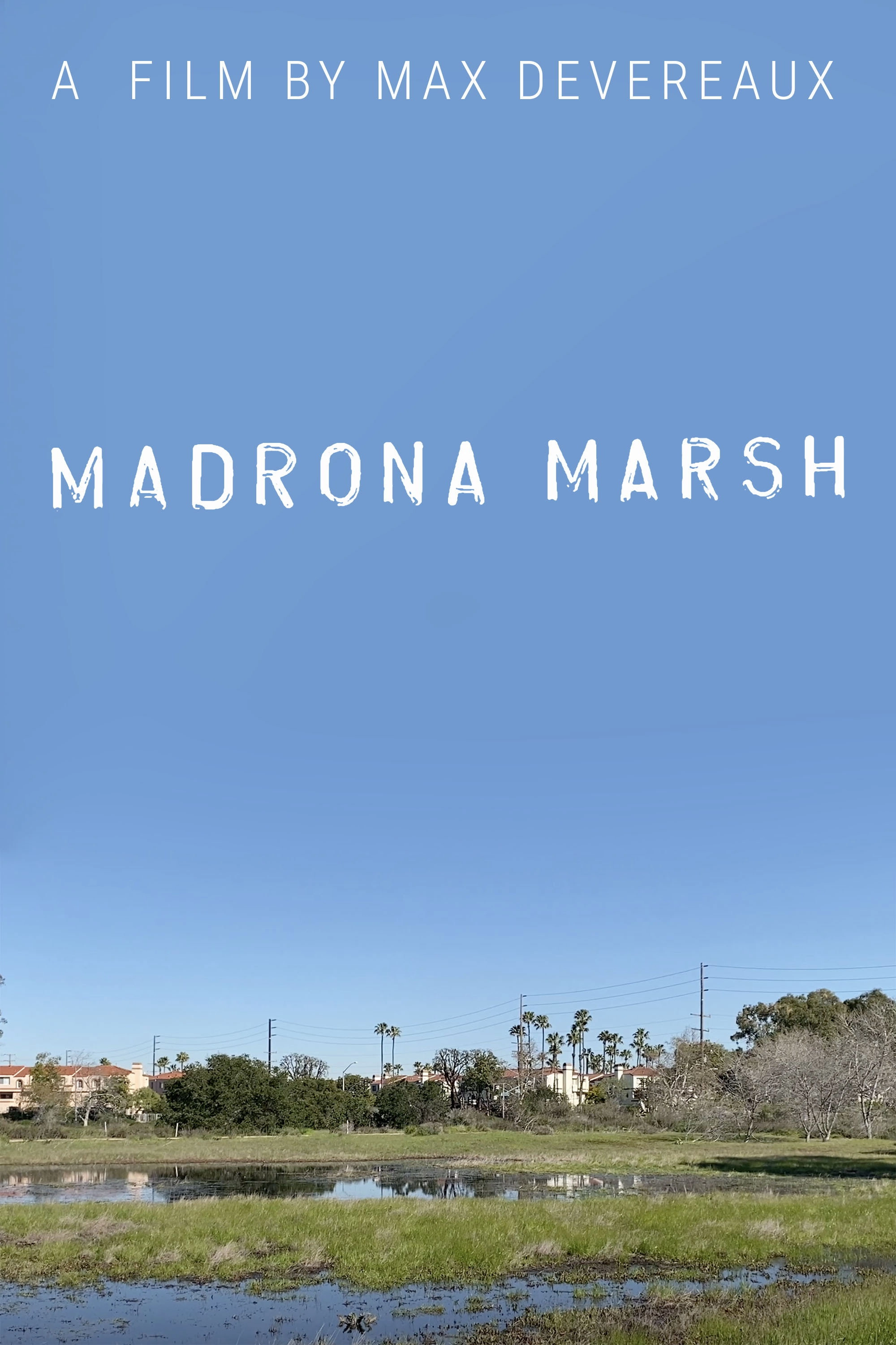 Madrona Marsh