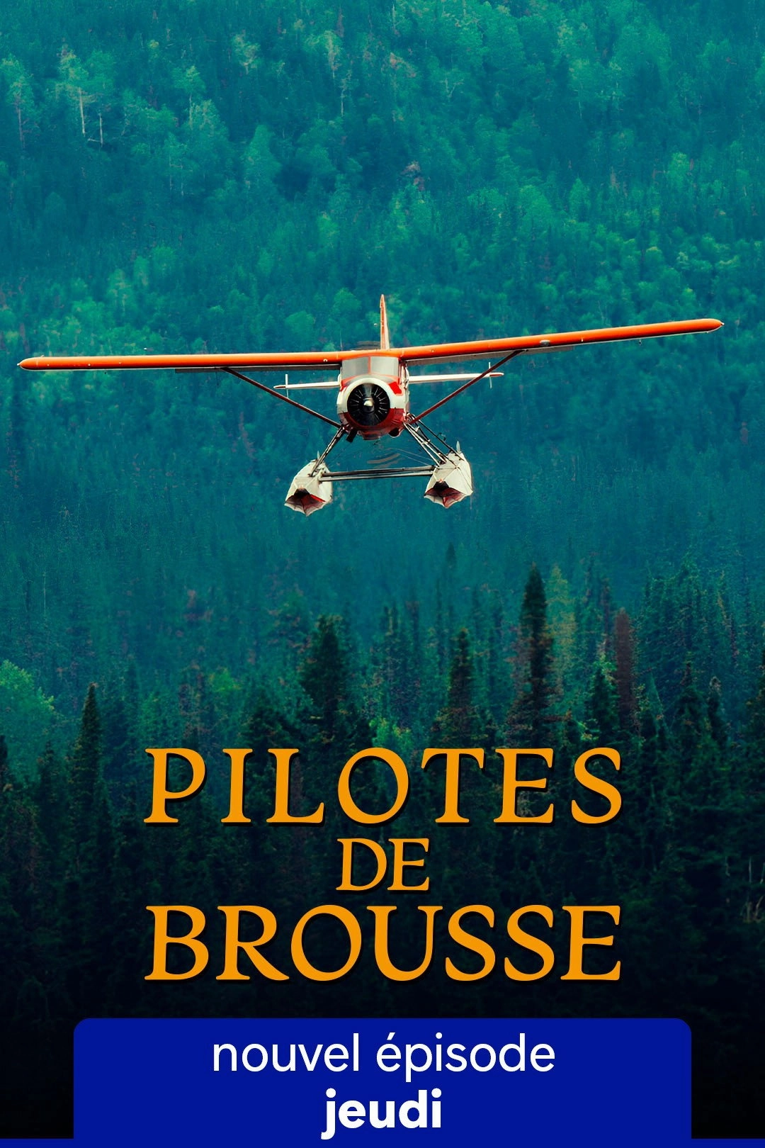 Pilotes de brousse