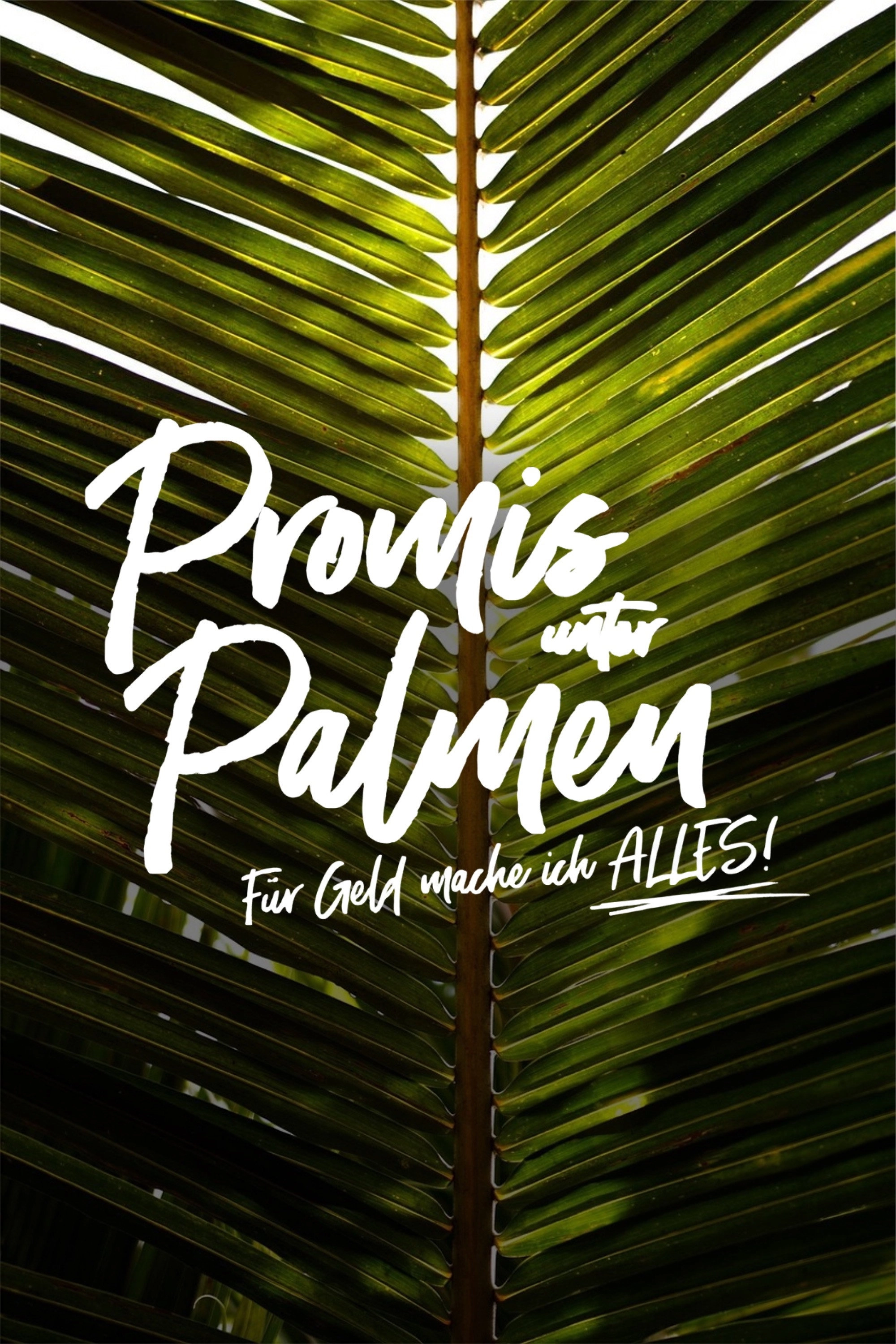 Promis unter Palmen