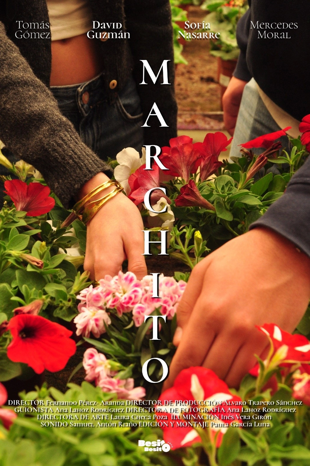 Marchito