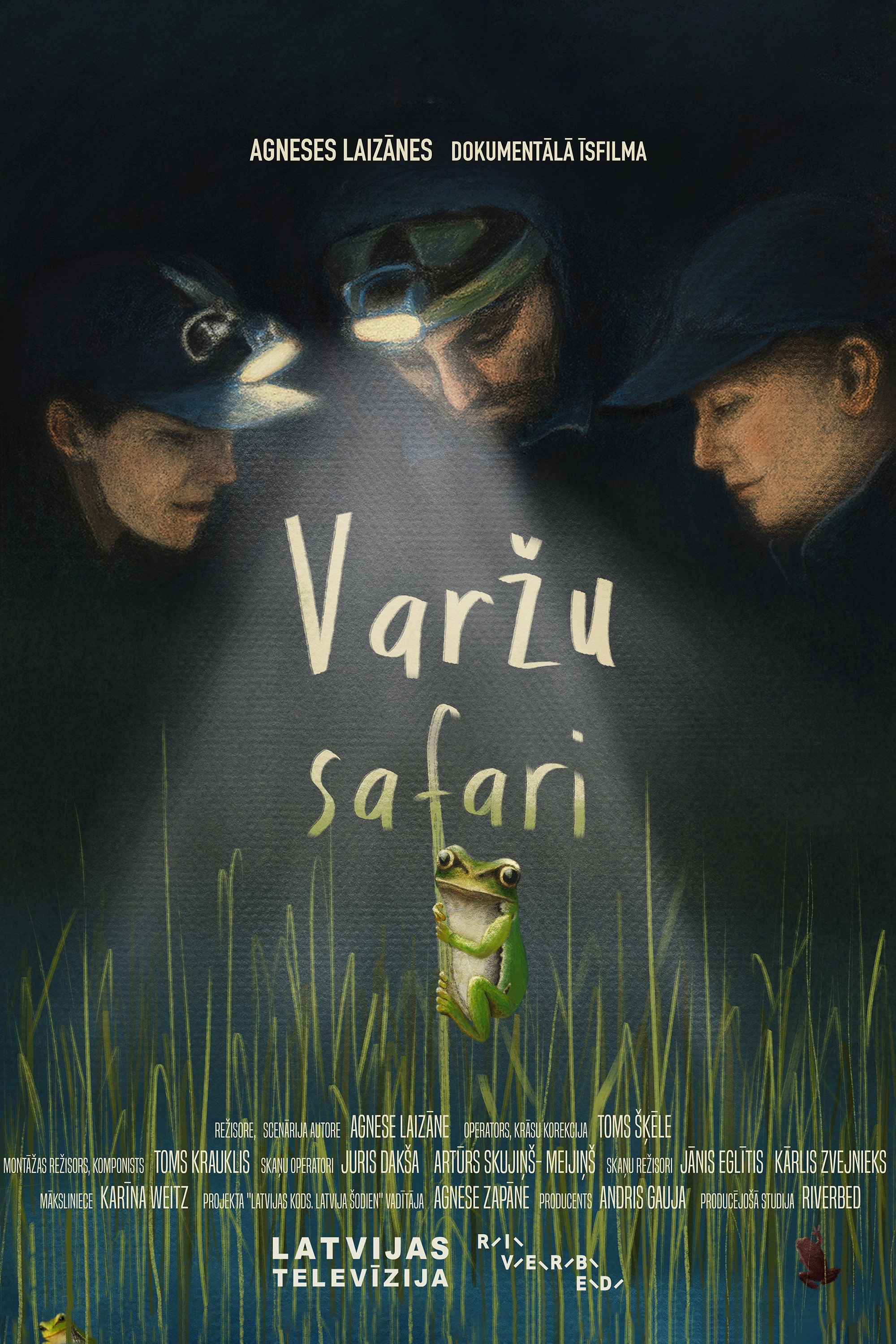Frog Safari