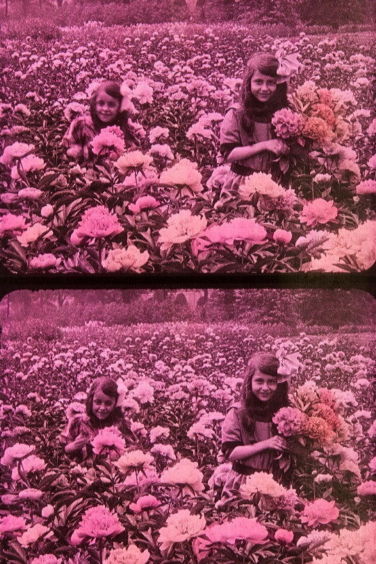 Flowery Spring