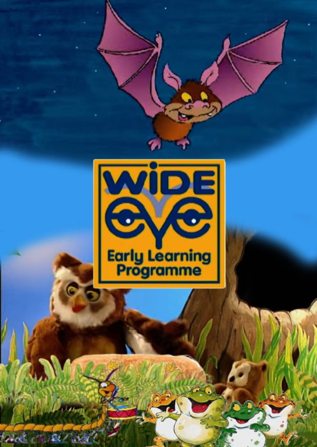Wide Eye Early Learning Programme
