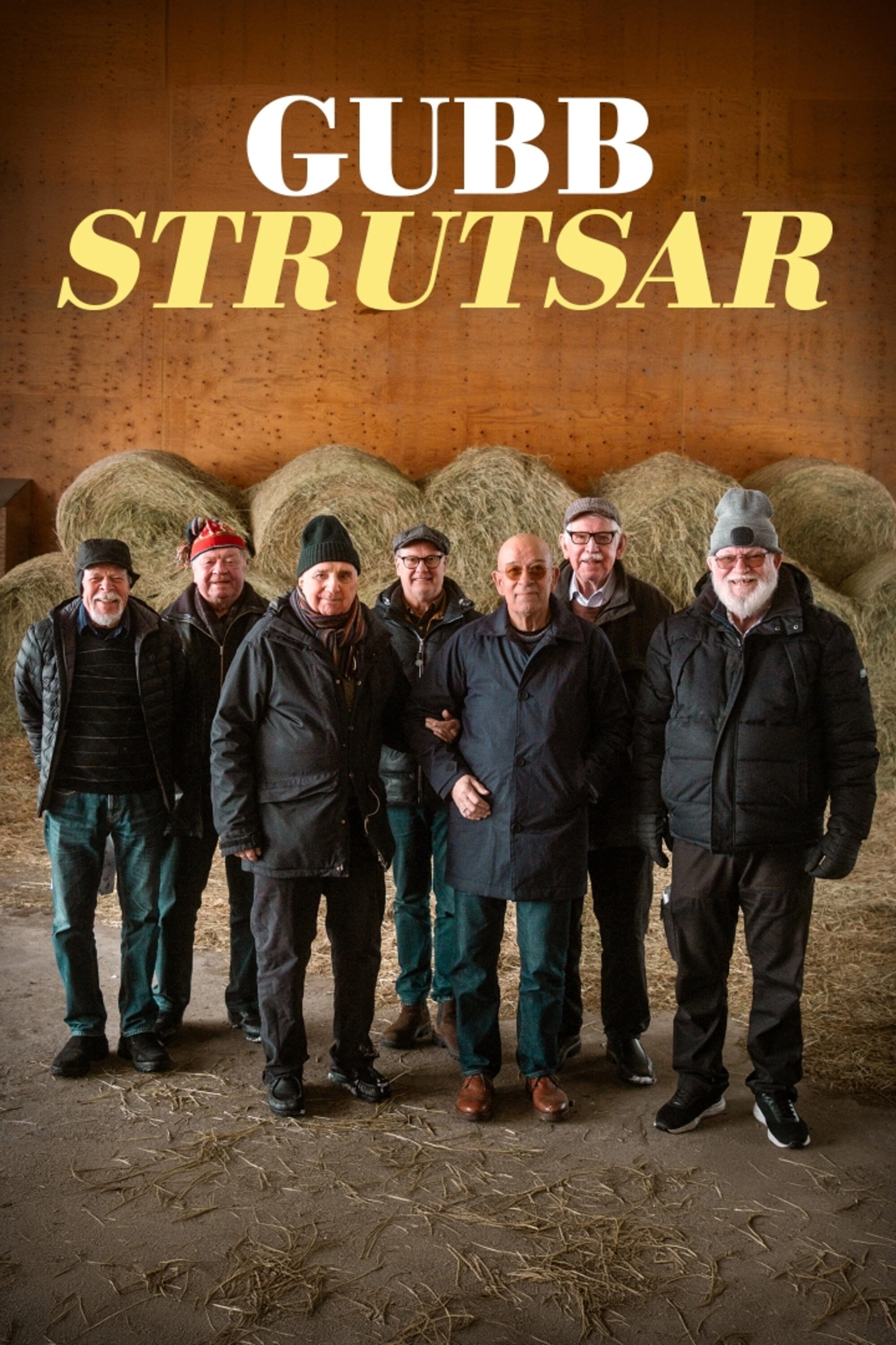 Gubbstrutsar