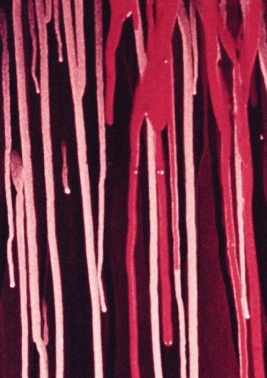Drips in Strips