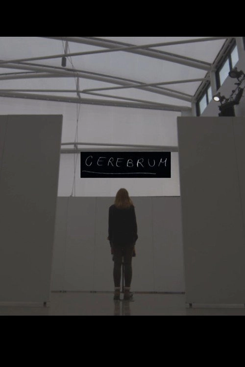 Cerebrum